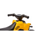 Eco Toys CAT Elektrische Kinder Quad H6