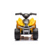 Eco Toys CAT Elektrische Kinder Quad H6