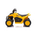Eco Toys CAT Elektrische Kinder Quad H6