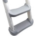 Eco Toys Grijs Toilettrainer met Trapje CHW4006G