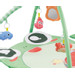 Eco Toys Kikker Activity Gym Speelkleed HC506649