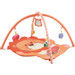 Eco Toys Leeuw Activity Gym Speelkleed HC506629
