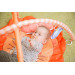 Eco Toys Leeuw Activity Gym Speelkleed HC506629