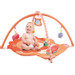 Eco Toys Leeuw Activity Gym Speelkleed HC506629