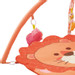 Eco Toys Leeuw Activity Gym Speelkleed HC506629