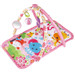 Eco Toys Lovely Zoo Roze Speelkleed met Muziek HC506612