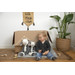 Happy Horse Cow Casper Knuffeldoekje 133003