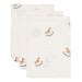 Jollein Nostalgic Ride 3 Stuks Hydrofiel Washandjes 536-848-67103