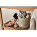 Jollein Retro Flowers 3 Stuks Hydrofiel Washandjes 536-848-67045
