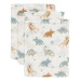 Jollein Roarsome 3 Stuks Hydrofiel Washandjes 536-848-67100