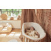 Jollein Teddy Bear 110 cm Slaapzak met Afritsbare Mouwen 016-542-66095