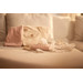 Jollein Wild Rose Billendoekjes Etui 091-001-67099