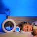 KidSleep Moon Wit/Blauw Slaaptrainer en Kinderwekker 0014