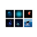 Kidywolf Kidystar HD Planetarium Ocean Projector
