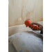 Kidywolf Alice In Wonderland Verhalen Uitbreiding voor Kidyslide Projector KIDYSTORIES-AL