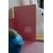 Kidywolf Alice In Wonderland Verhalen Uitbreiding voor Kidyslide Projector KIDYSTORIES-AL
