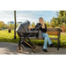 Kunert Ivento Premium Gold Deep Black 2-in-1 Kinderwagen IVE-12-GOLD