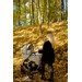 Kunert Mata Gold Black 2-in-1 Combi Kinderwagen MATA-10-GOLD