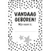 Lantaarn Baby's Eerste Jaar Bijzondere Momenten Boekbox