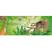 Lantaarn Jungle Kijk- en Voelboek