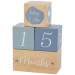 Label Label Blauw Houten Mijlpaalblokken LLWT-10428