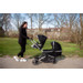 Ding Amigo Black/Rose Reiswieg DI-191707