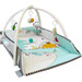 MamaLoes Diertjes 5-in-1 Speelkleed/Ballenbak ML050415