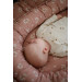 MamaLoes Lente Bloei Omkeerbaar Babynest