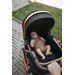 MamaLoes Marly Zwart 3-in-1 Combi Kinderwagen incl. Autostoel ML050101