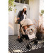 Momi Akira Gray Compacte Buggy