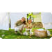 Momi Dex Beige Loopfiets ROBI00072