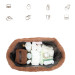 Mordesign Morteddy Teddy Brown Luiertas TD-11-01