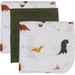 Blush & Blossom Dinosaurus Hydrofiel Starterset TR-BB443418