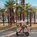 Pronto Sand Beige Bolderkar / Duowagen 4279