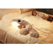 Topbright Sleepwell Whale Kalmerende Knuffel TB-129218