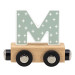 Tryco Houten Gekleurde Lettertrein - Letter M TR-353032