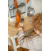 Tryco Houten Werkbank TR-303009